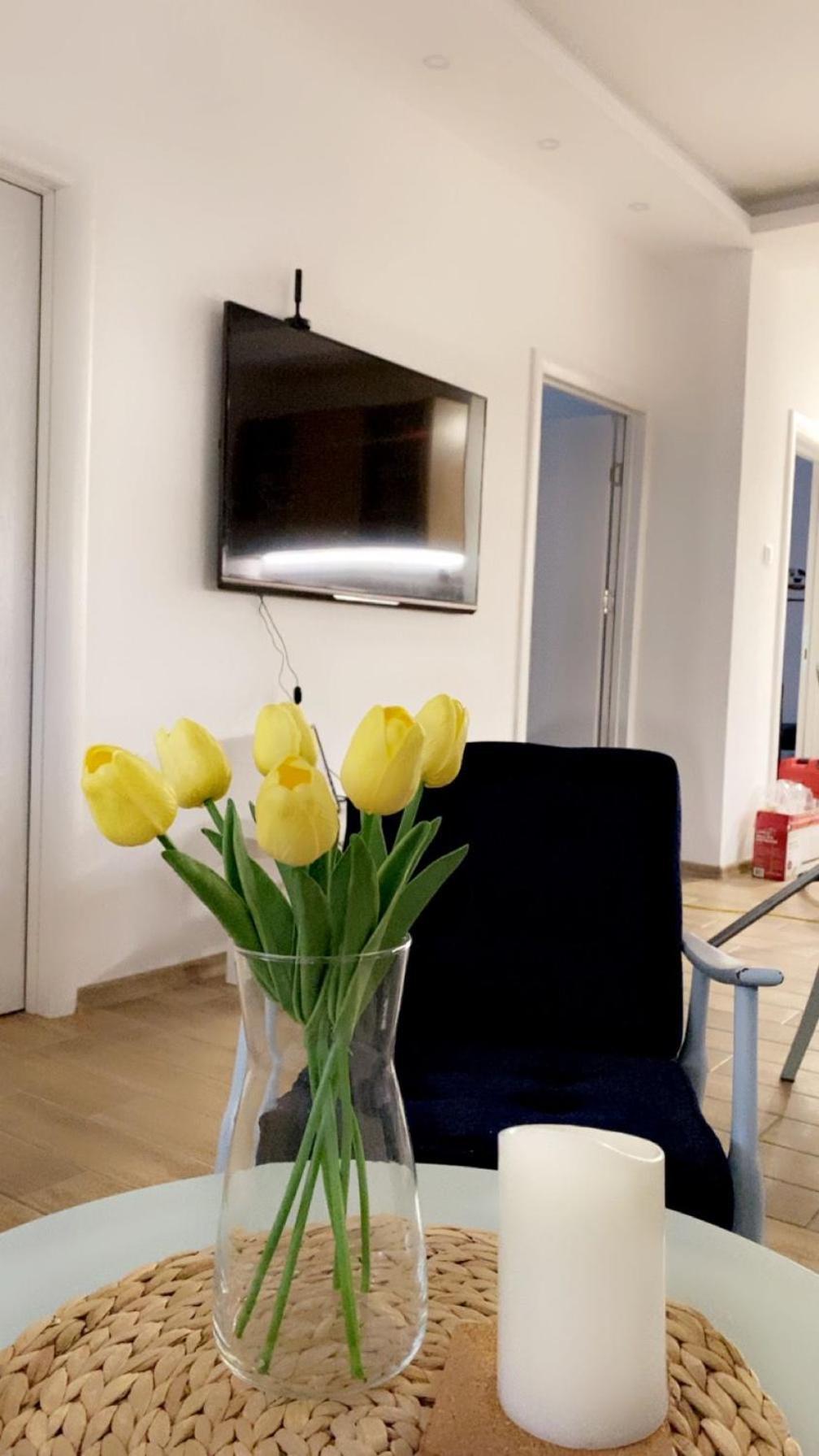 Vanja Apartman ヴルシャツ エクステリア 写真